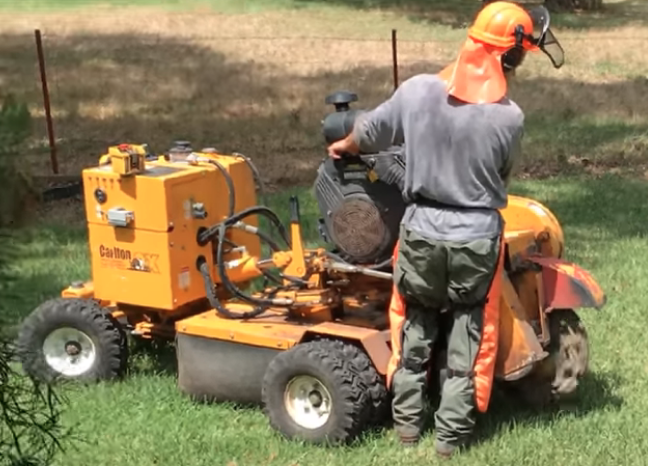 stump grinding in action